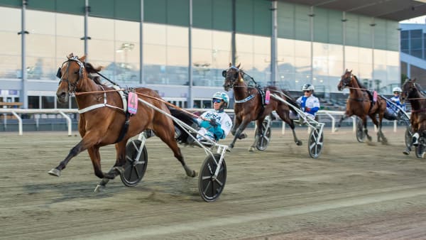 Foto: MIKAEL ROSENQUIST / TR BILD