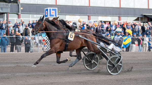 Foto: MIKAEL ROSENQUIST / TR BILD