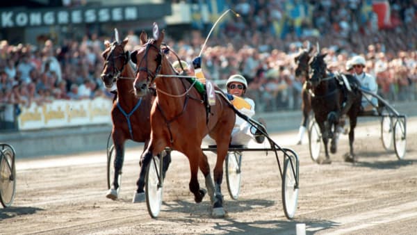 Foto: Lars Jakobsson/TR BILD