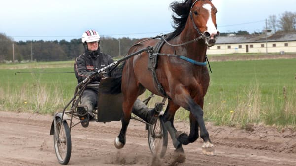 Foto: Lars Johansson