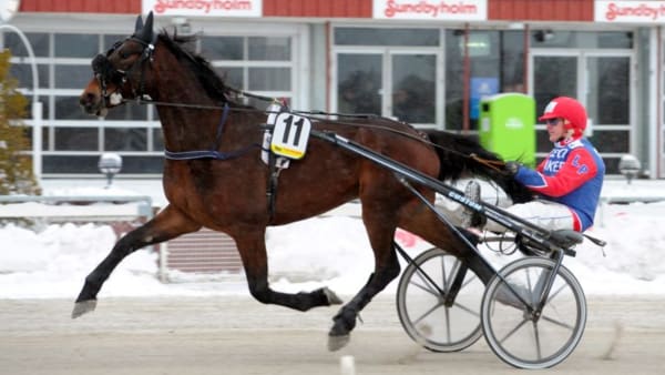 Foto: MARTIN LANGELS/ALN