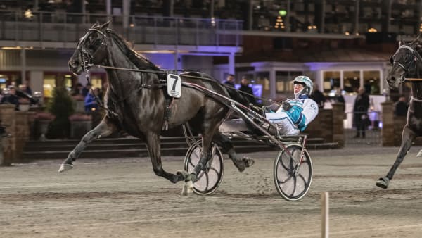 Foto: LENA EMMOTH / TR BILD