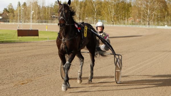 Foto: MICKE GUSTAFSSON/ALN