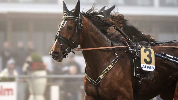 Foto: LARS JAKOBSSON / TR BILD