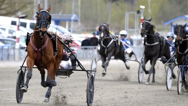 Foto: MARTIN LANGELS/ALN