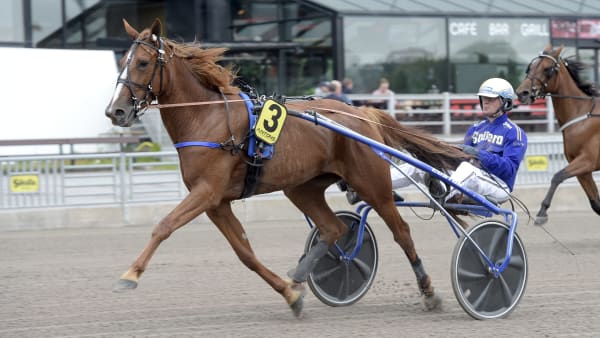 Foto: LARS JAKOBSSON / TR BILD