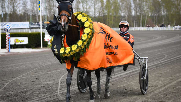 Foto: MALIN ALBINSSON / TR BILD