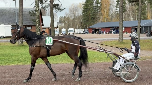 Foto: Emmelie Arneng