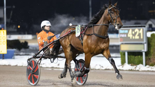 Foto: LENA EMMOTH / TR BILD