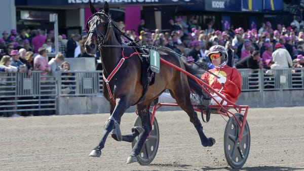 Foto: LARS JAKOBSSON / TR BILD