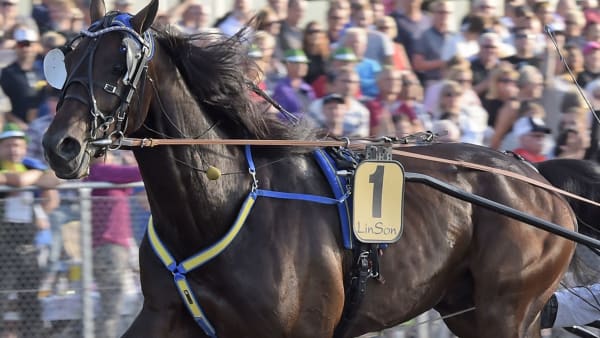 Foto: Lars Jakobsson/TR BILD