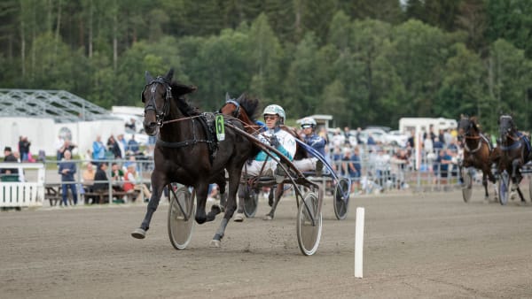 Foto: LENA EMMOTH / TR BILD