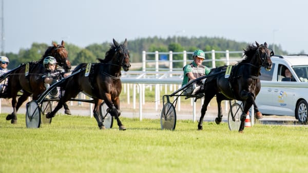 Foto:  Elina Björklund / Svensk Galopp