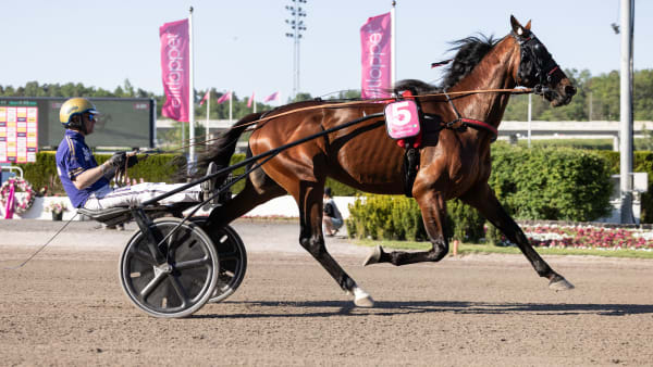 Foto: LENA EMMOTH / TR BILD