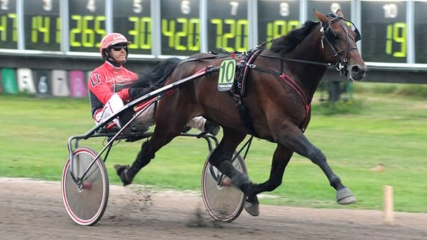 Foto: JÖRGEN TUFVESSON/ALN