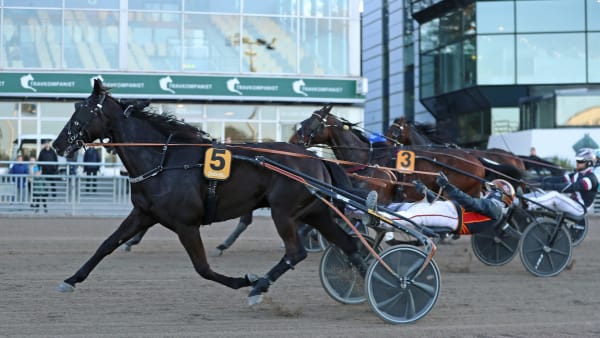 Foto: MARIA HOLMÉN / TR BILD