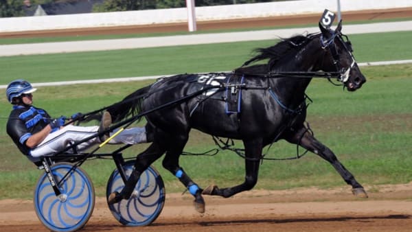 Foto: Stefan Melander/stalltz.se