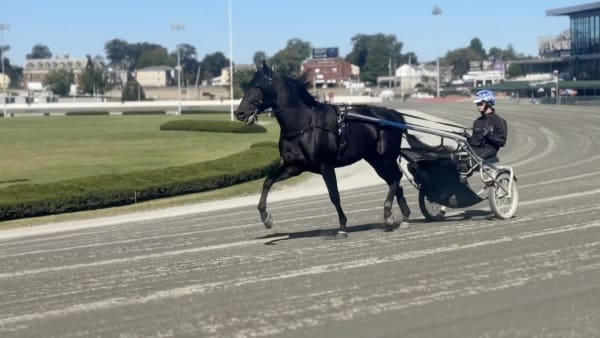 Foto: US TROTTING