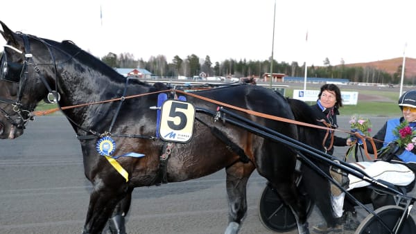 Foto: Micke Gustafsson/ALN