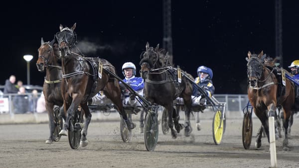 Foto: LARS JAKOBSSON / TR BILD