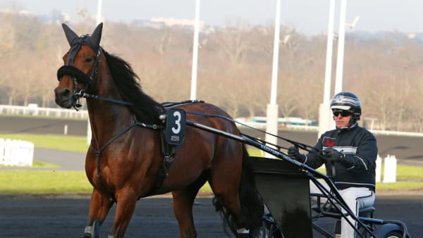 Foto: Matilda Öhrman