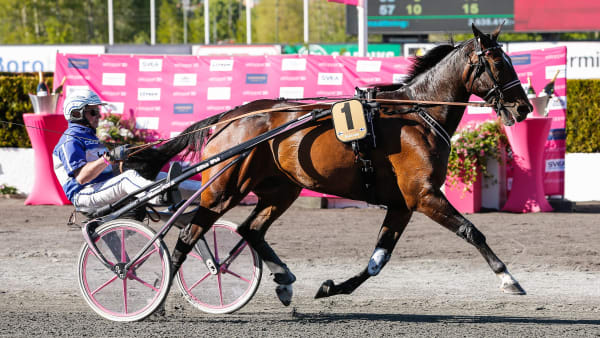 Foto: LENA EMMOTH / TR BILD