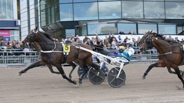 Foto: LARS JAKOBSSON / TR BILD