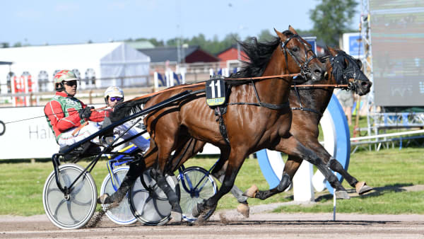 Foto: MALIN ALBINSSON / TR BILD