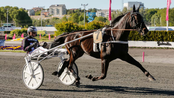 Foto: LENA EMMOTH / TR BILD