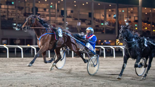 Foto: MIKAEL ROSENQUIST / TR BILD
