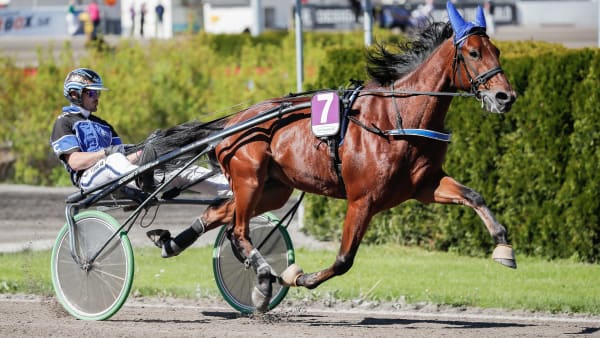 Foto: LENA EMMOTH / TR BILD