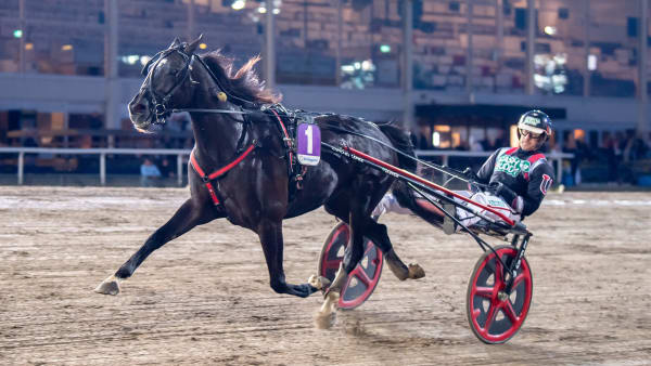 Foto: MIKAEL ROSENQUIST / TR BILD