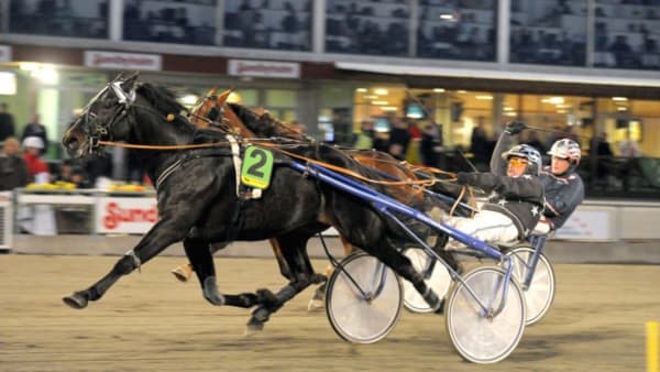 Foto: MARTIN LANGELS/ALN