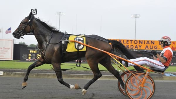 Foto: STEFAN MELANDER/STALLTZ.SE