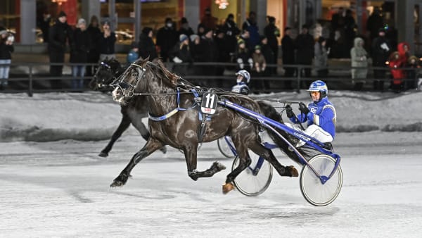 Foto: JENNY REHNMAN / TR BILD