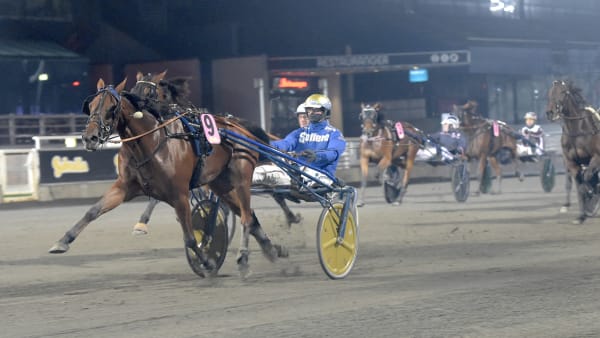 Foto: LARS JAKOBSSON / TR BILD