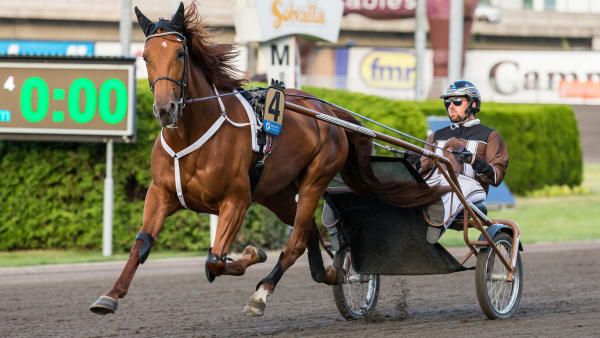 Foto: LENA EMMOTH / TR BILD