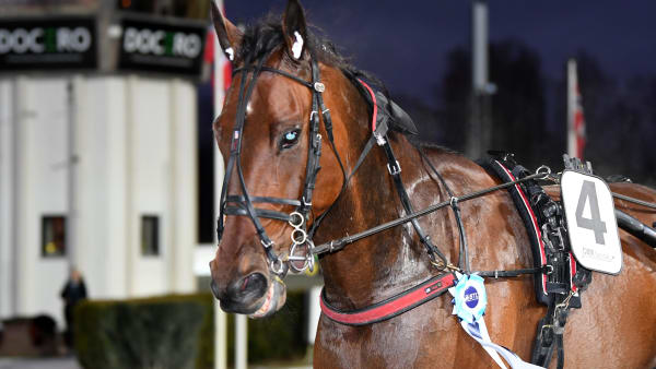 Foto: MALIN ALBINSSON/TR BILD