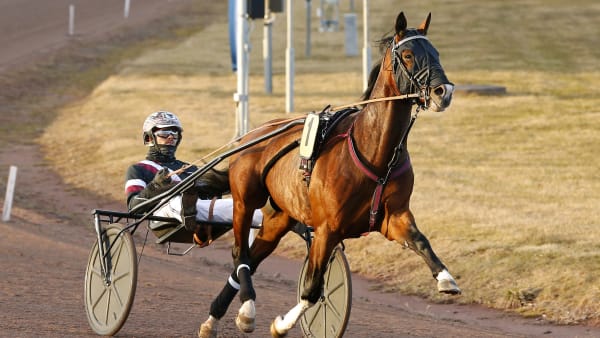 Foto: MARIA HOLMÉN / TR BILD