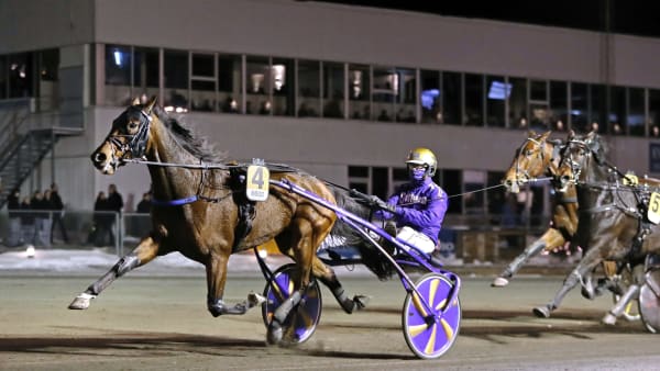 Foto: MARIA HOLMÉN / TR BILD