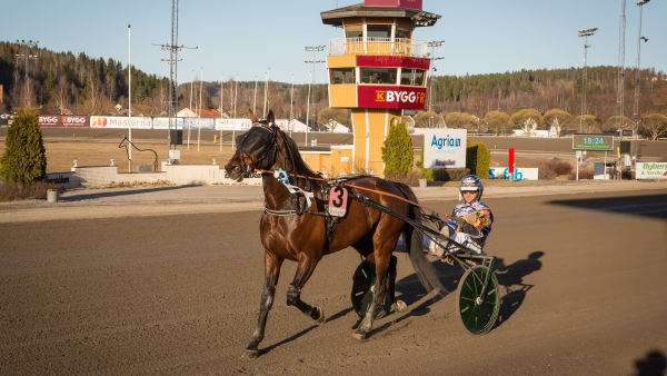 Foto: DAVID SCHREINER / TR BILD