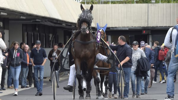 Foto: Lars Jakobsson/TR Bild