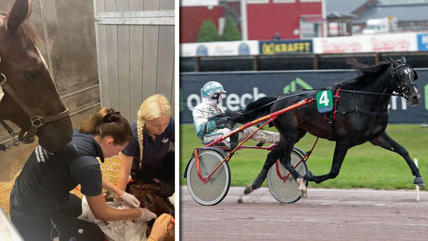 Foto: Privat & TR BILD.