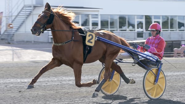 Foto: LARS JAKOBSSON / TR BILD