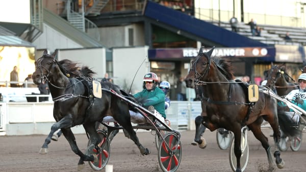 Foto: MARIA HOLMÉN / TR BILD