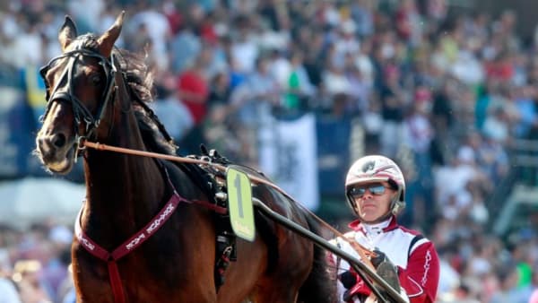 Foto: MICKE GUSTAFSSON