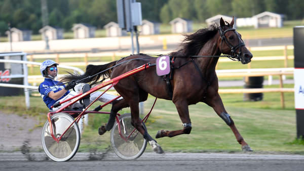 Foto: MALIN ALBINSSON / TR BILD