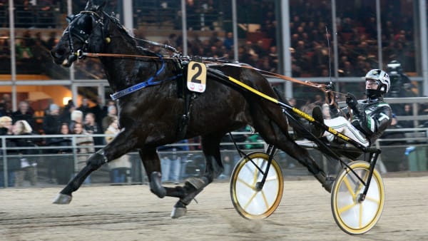 Foto: MALIN ALBINSSON/KANAL 75