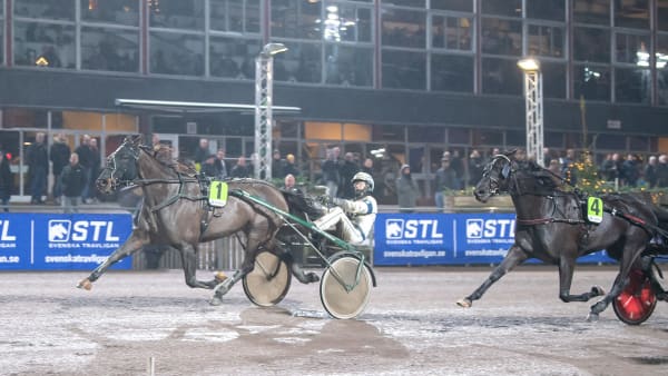 Foto: MIKAEL ROSENQUIST / TR BILD