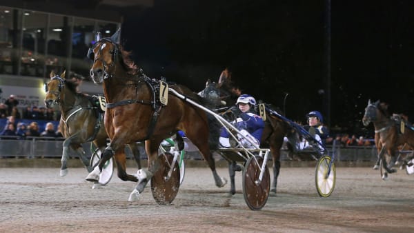 Foto: Maria Holmén/TR Bild